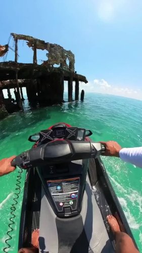 Video post from bertsmegamall.