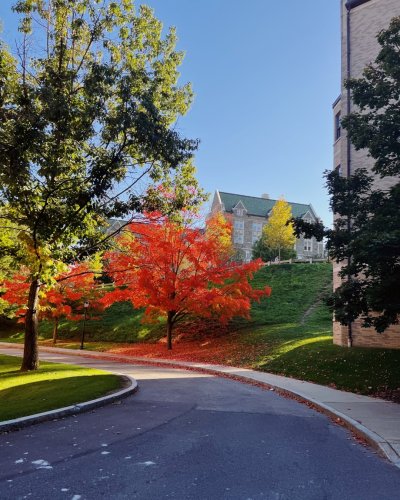 Photo post from bostoncollege.