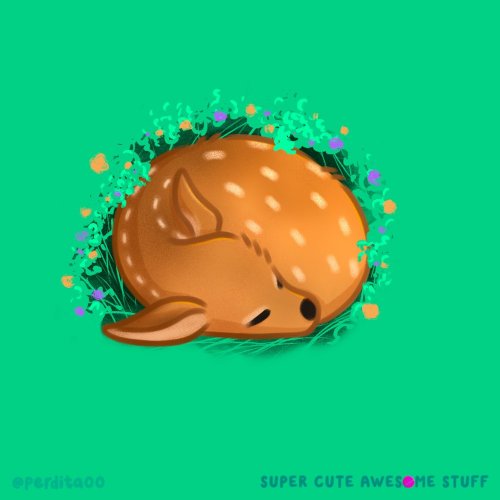 Carousel post from perdita00.