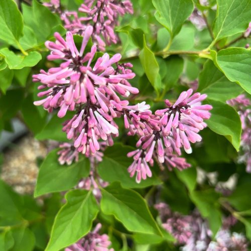 Photo post from gardenhousebrighton.