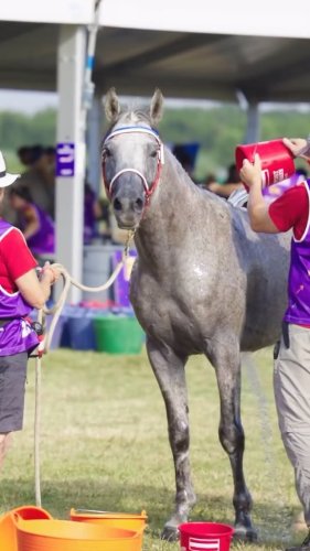 Video post from fei_global.