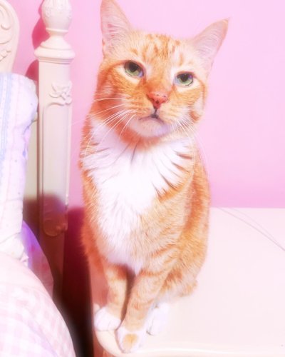 Photo post from margaritabloom.