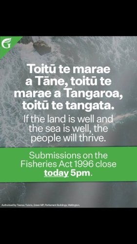 Video post from nzgreenparty.