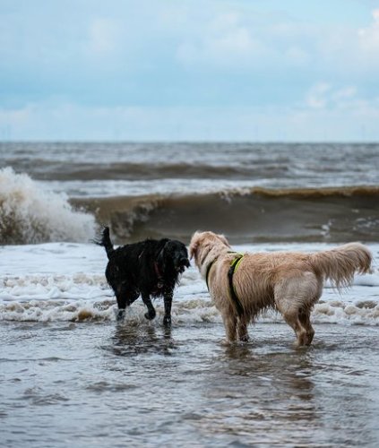 Photo post from ditiskatwijk.