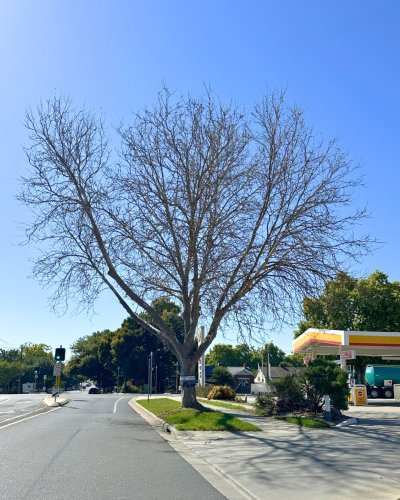 Photo post from alburycity.