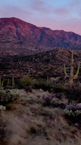 Video post from visittucson.