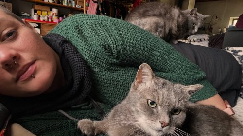 Photo post from zampette.click.