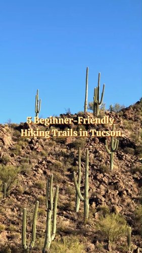 Video post from visittucson.