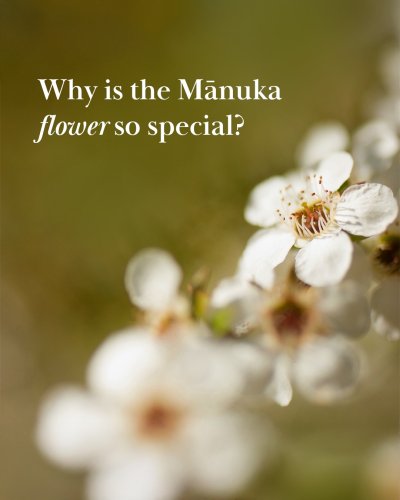 Carousel post from comvita_au.