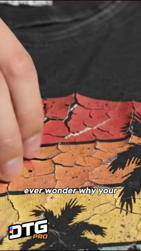 Video post from officialdtgpro.