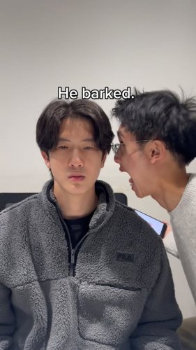 Video post from monashcoding.