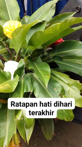 PostPhoto
