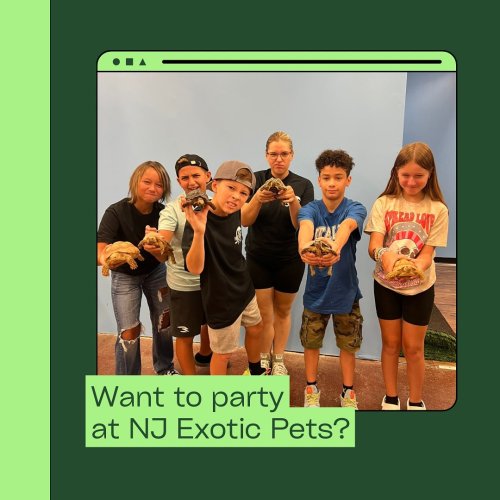 Photo post from njexoticpets.