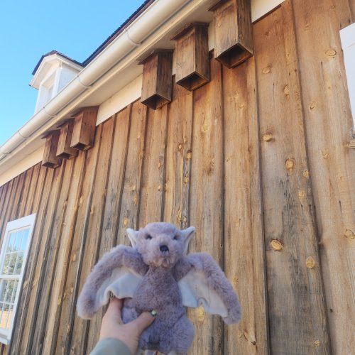Photo post from fort_verde.