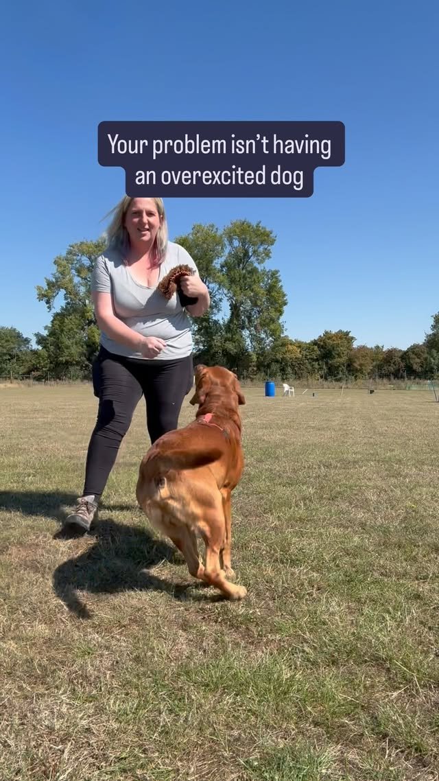 Video post from potterpaws.