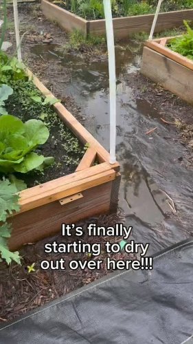Video post from fromseedtospoon.