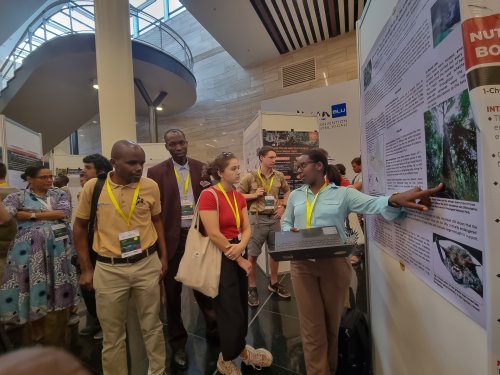 Photo post from savingrwandawildlife.