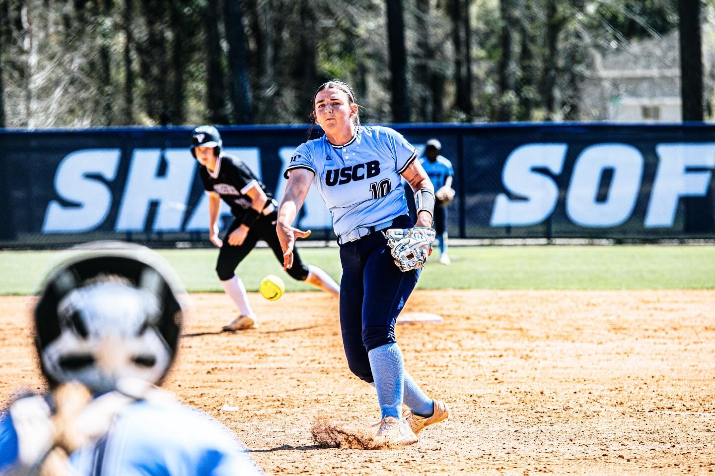Photo post from uscbsandsharks.