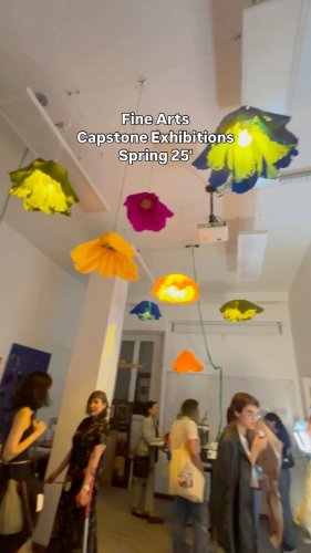 Video post from aur_arts.