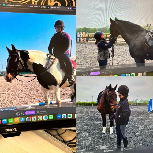 Photo post from mbddressage.
