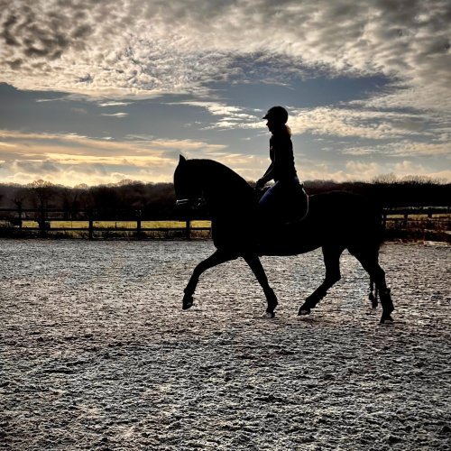 Photo post from mbddressage.