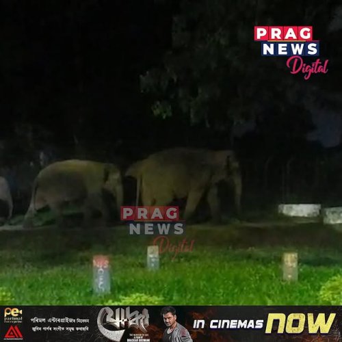 Video post from pragnewsofficial.