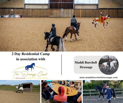 Photo post from mbddressage.