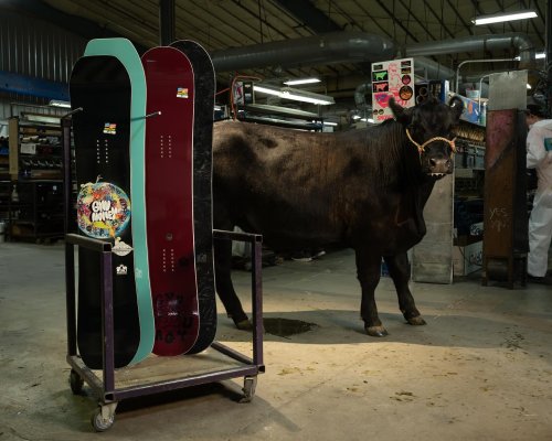 Carousel post from gnusnowboards.