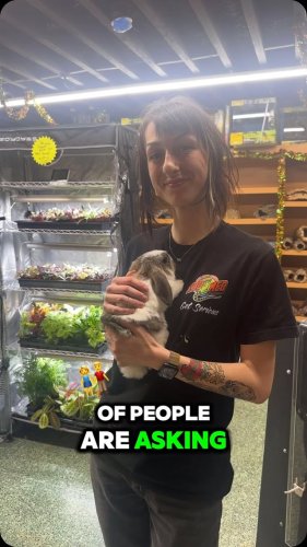 Video post from njexoticpets.