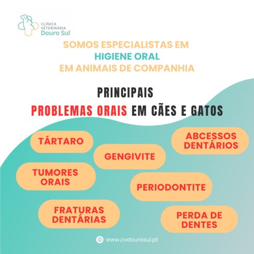 Carousel post from clinica_veterinaria_dourosul.