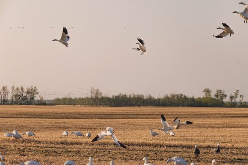 Photo post from northernskiesoutfitters.