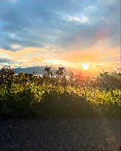 Photo post from campingfornella.