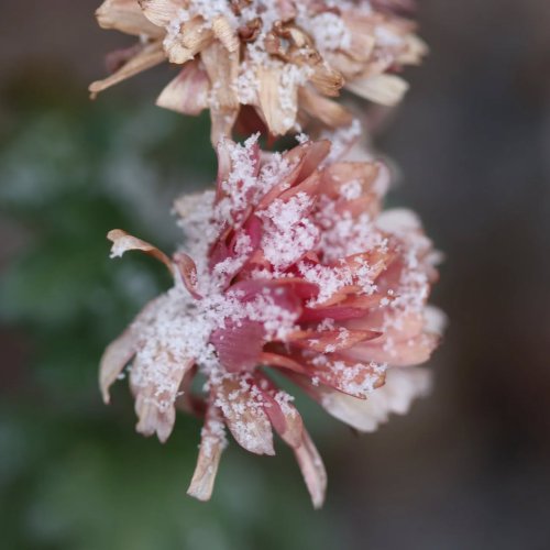 Photo post from illumina_photos.