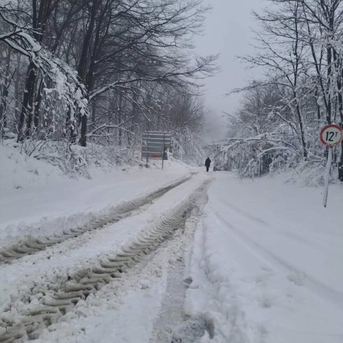 Photo post from sremskatelevizija.