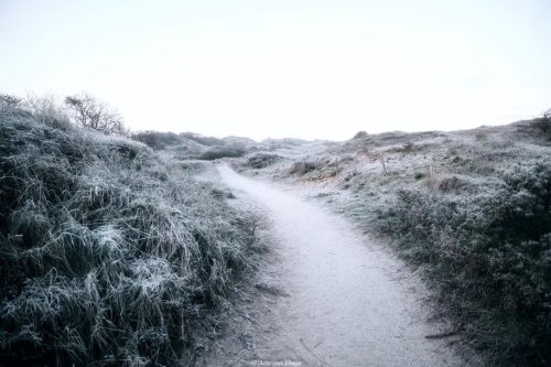 Photo post from ditiskatwijk.