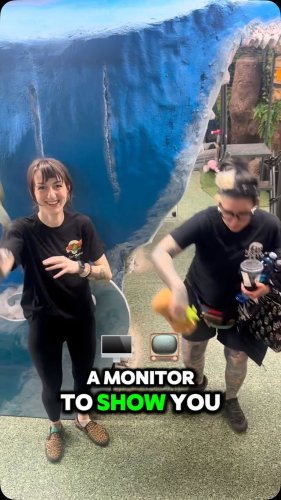 Video post from njexoticpets.
