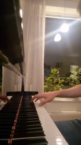 Video post from davidcarbe.
