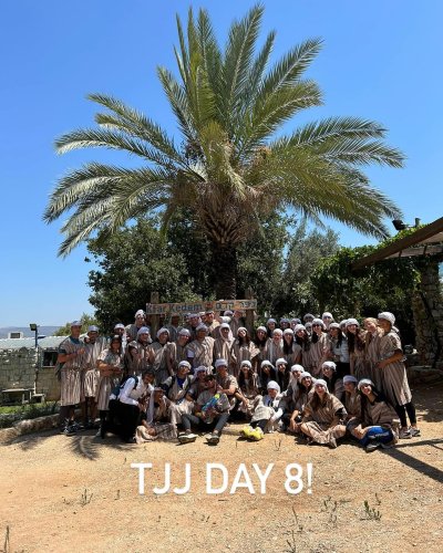 Carousel post from tjjlions.