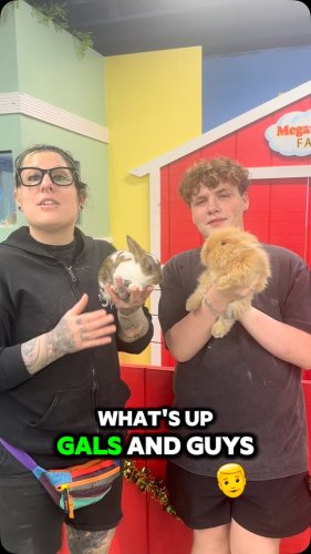 Video post from njexoticpets.