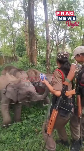 Video post from pragnewsofficial.