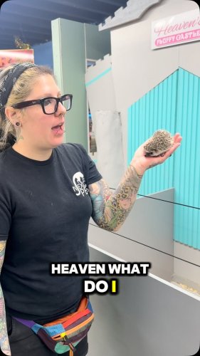 Video post from njexoticpets.