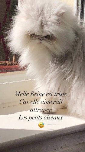 Video post from delanutritionalaserenite.