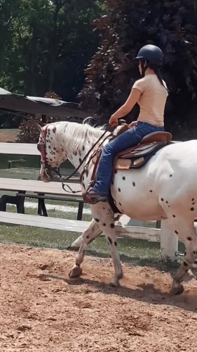 Video post from eqforeveryone.