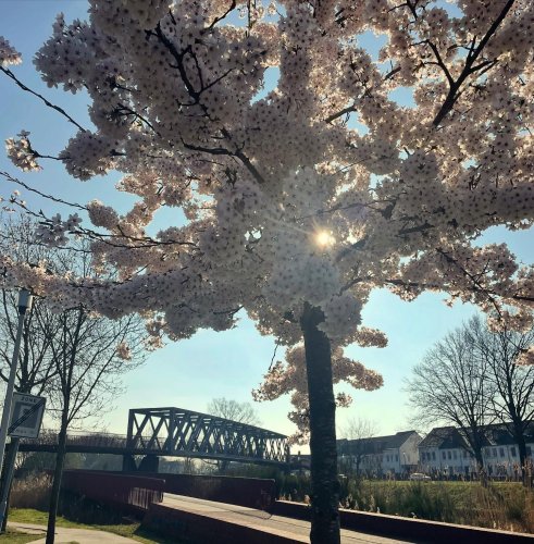 Photo post from visitoirschot.