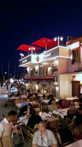 Video post from jandewit.4848.