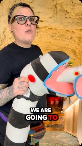 Video post from njexoticpets.