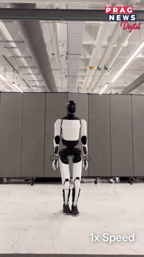 Video post from pragnewsofficial.