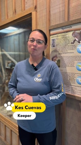 Video post from obermountain.