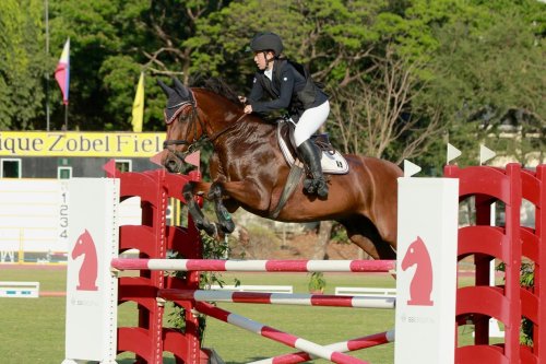 Carousel post from dxdequestrian.