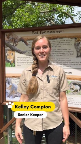 Video post from obermountain.